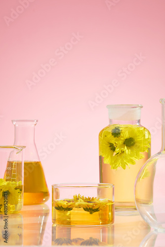 Some containing utensils in laboratory such as glass bottle, beaker, boiling flask and erlenmeyer flask with yellow liquid and fresh calendula placed inside. Space for design with frontal shot