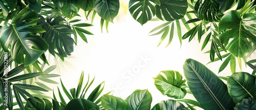 A simple card framed by a lush border of tropical leaves on a bright  airy background for a fresh look