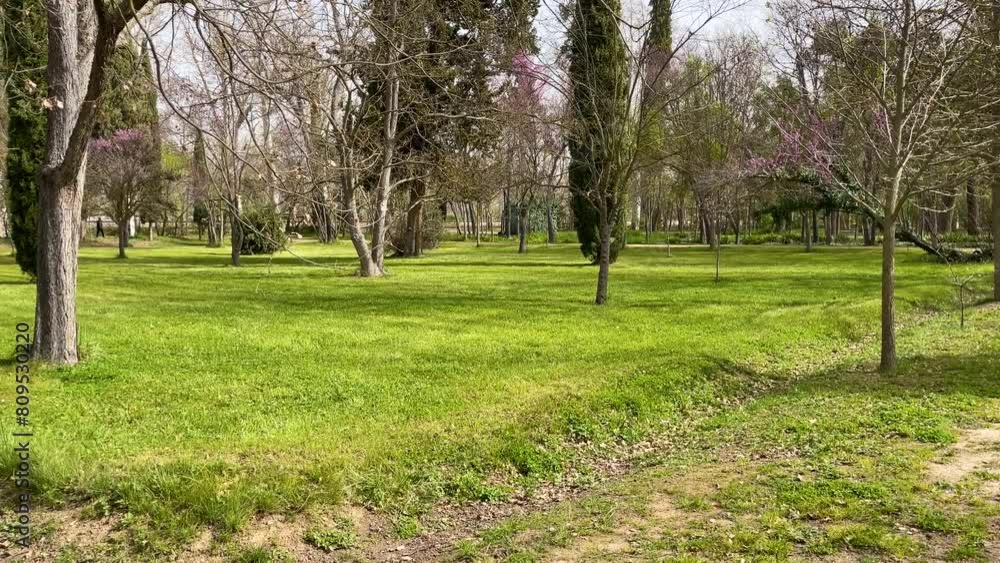 filming of a garden area with mowed green soil, there are many trees, some without leaves, a dirt path appears in the morning in the El Principe gardens in Aranjuez, Madrid, Spain filming of a garden area with mowed green soil, there are many trees, some without leaves, a dirt path appears in the morning in the El Principe gardens in Aranjuez, Madrid, Spain