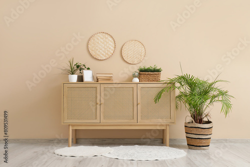Wooden chest of drawers and houseplants near beige wall in modern of living room © Pixel-Shot