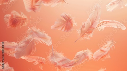Serene Coral Background with Floating Feathers