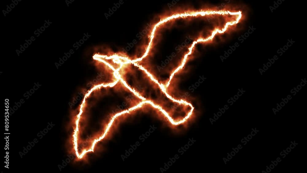 logo animation,fiery bird,burning seagull logo animation,fiery bird,burning seagull