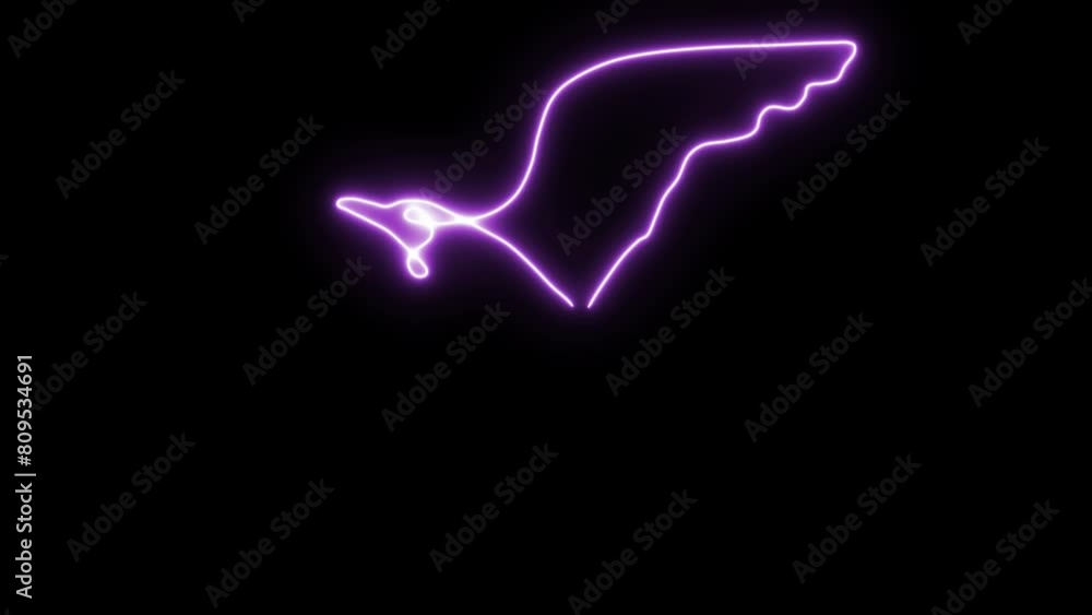 Self drawing animation one continuous line draw, logo, flying bird, seagull, neon purple luminous sign Self drawing animation one continuous line draw, logo, flying bird, seagull, neon purple luminous sign