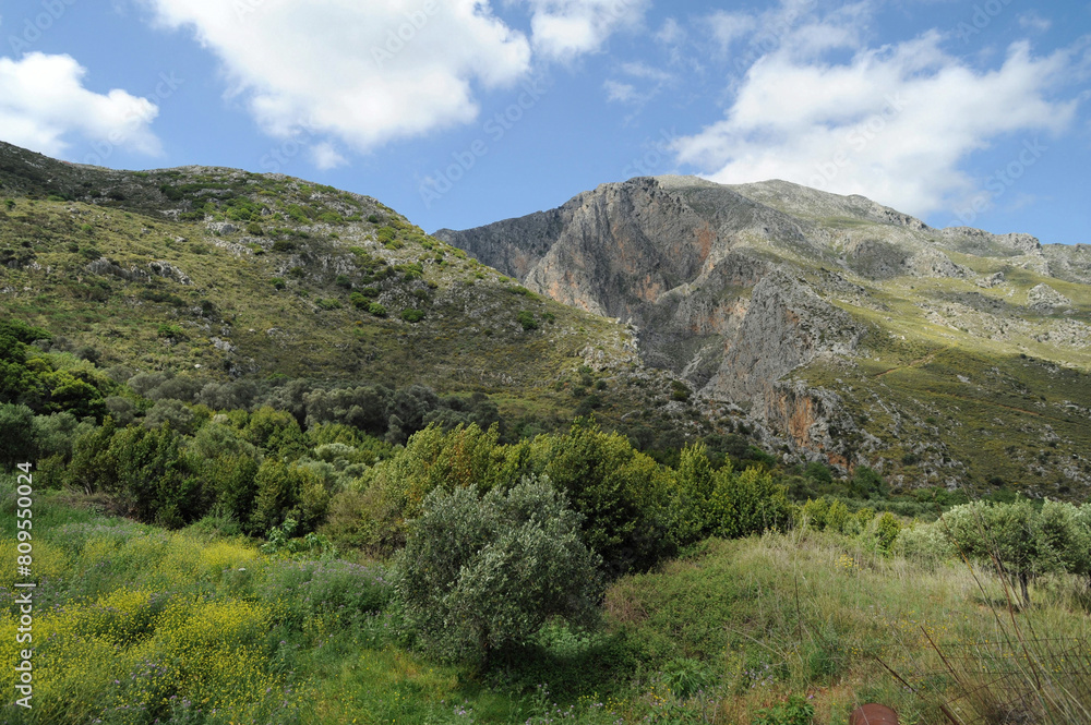 Les gorges de la Kourtaliotis près de Preveli en Crète