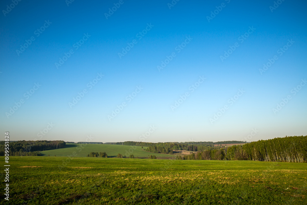 Scenic natural landscape with green field, trees, blue sky, and sunlight