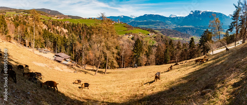 High resolution stitched alpine spring panorama near Klobenstein, Ritten, Eisacktal valley, South Tyrol, Italy