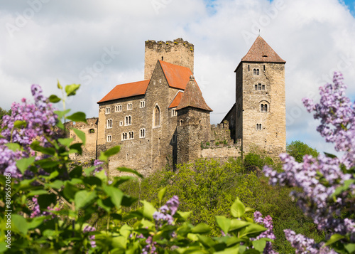 Hardegg Castle in Austria photo