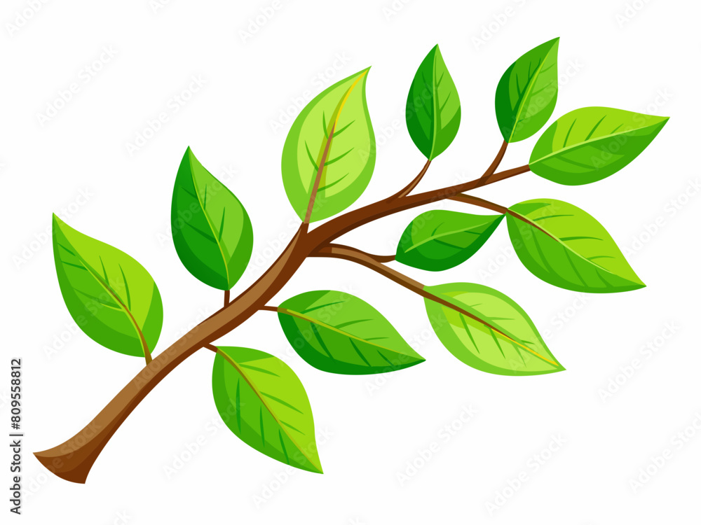Summer tree branch with fresh green leaves vector illustration isolated on a white background. Summer tree branch with fresh green leaves vector illustration isolated on a white background.