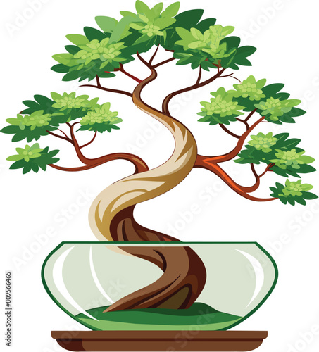 ficus bonsai tree vector illustration, Ficus retusa bonsai, Ara jejawi