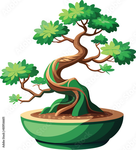 ficus bonsai tree vector illustration, Ficus retusa bonsai, Ara jejawi