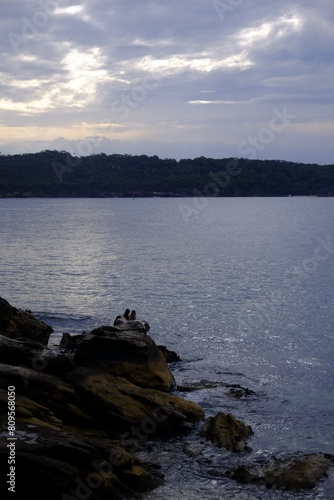 glitering sea with friends