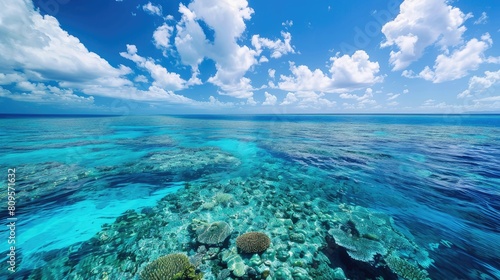 Underwater Splendor of the Magnificent Great Barrier Reef