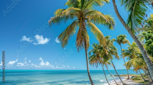tropical island paradise clear blue skies and fluffy white clouds complement the lush palm trees on the beach