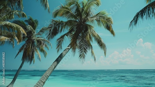 tropical island paradise a serene beach scene with palm trees and a clear blue sky  dotted with fluffy white clouds