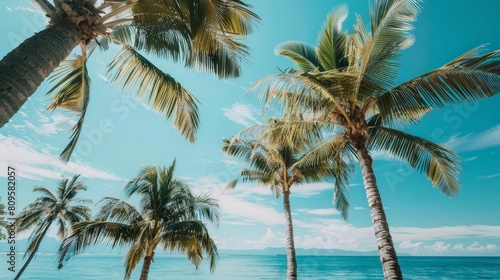 tropical island paradise a serene beach scene with palm trees and calm blue waters under a clear blue sky with a single white cloud
