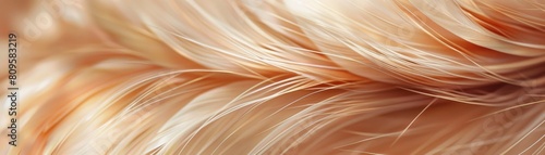 A feather spiraling down, with each filament sharply focused and visible, set against a muted, earth-toned background for contrast