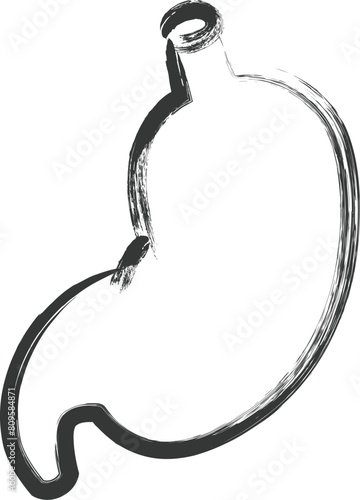 医療関連の筆書き単品イラスト　胃