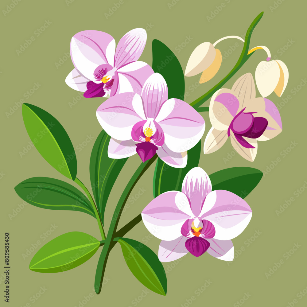 Orchid flowers with branch Vector  illustration 