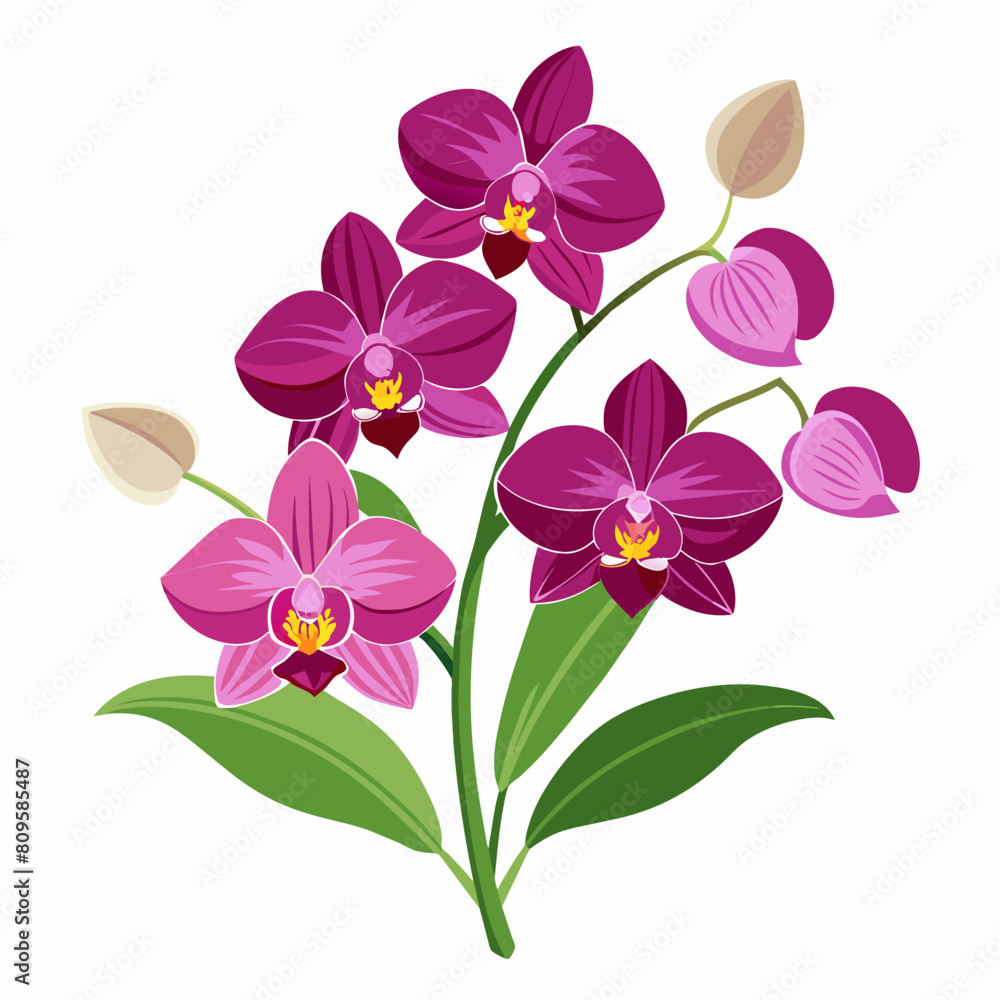Orchid flowers with branch Vector illustration Orchid flowers with branch Vector illustration