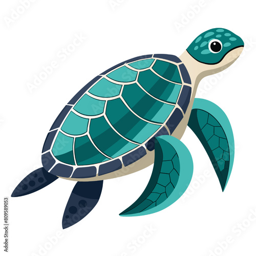 Sea turtle icon. Cartoon illustration of sea turtle vector icon for web