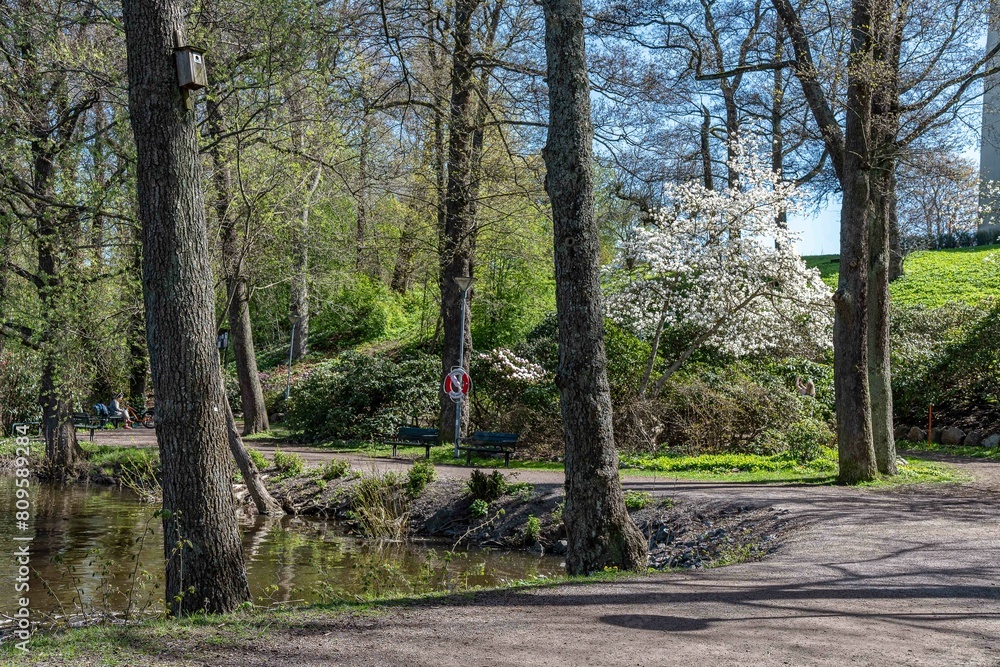 Spring blossom in city park Åbackarna along Motala Stream in Norrköping. Norrköping is a historic industrial town in Sweden. Spring blossom in city park Åbackarna along Motala Stream in Norrköping. Norrköping is a historic industrial town in Sweden.