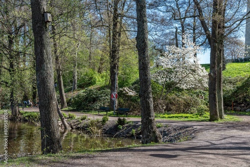 Spring blossom in city park Åbackarna along Motala Stream in Norrköping. Norrköping is a historic industrial town in Sweden.