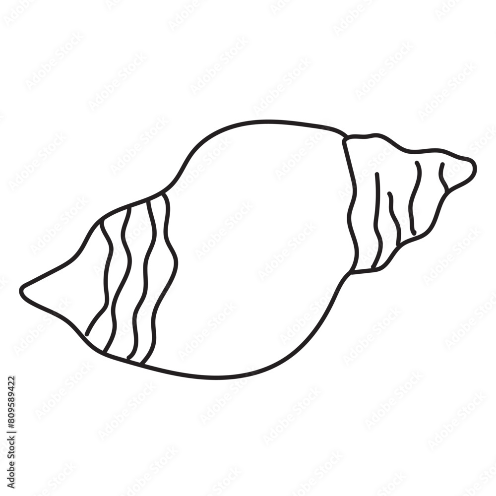 Fototapeta premium sea, vector, shell, ocean, outline, underwater, shellfish, water, design, illustration, isolated, marine, seashell, beach, seafood, scallop, aquatic, animal, nature, line, summer, graphic, drawing