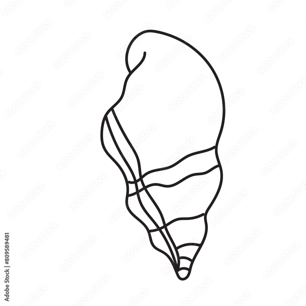 sea, vector, shell, ocean, outline, underwater, shellfish, water, design, illustration, isolated, marine, seashell, beach, seafood, scallop, aquatic, animal, nature, line, summer, graphic, drawing sea, vector, shell, ocean, outline, underwater, shellfish, water, design, illustration, isolated, marine, seashell, beach, seafood, scallop, aquatic, animal, nature, line, summer, graphic, drawing