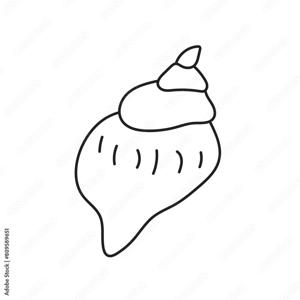 sea, vector, shell, ocean, outline, underwater, shellfish, water, design, illustration, isolated, marine, seashell, beach, seafood, scallop, aquatic, animal, nature, line, summer, graphic, drawing sea, vector, shell, ocean, outline, underwater, shellfish, water, design, illustration, isolated, marine, seashell, beach, seafood, scallop, aquatic, animal, nature, line, summer, graphic, drawing