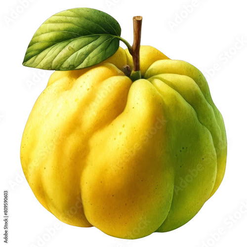A digital painting of a quince, a pear-shaped fruit with a greenish-yellow skin and a single leaf.