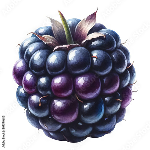 A glossy, plump blackberry isolated on a transparent background.