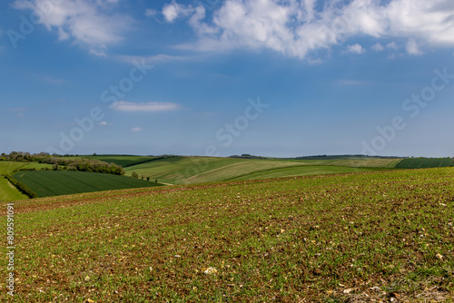 Looking out over a rolling Sussex spring landscape, with a blue sky overhead