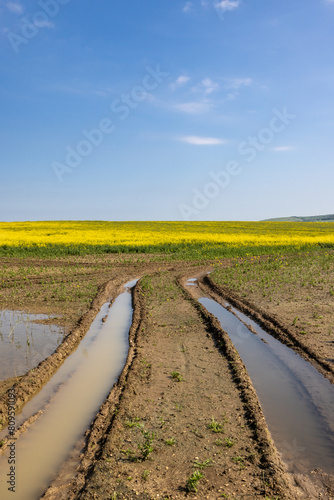 Waterlogged farmland in Sussex, on a sunny day after previous heavy rain