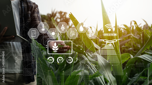 Photography Farmer uses digital tablet in corn field with smart farming interface icons and effects