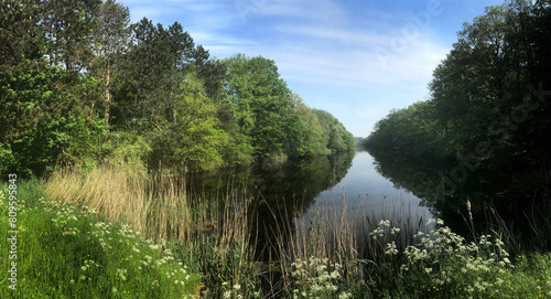 Forest and canal in spring. Kuinderbos. Noordoostpolder. Netherlands.  photo