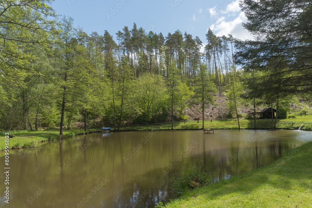 Fototapeta premium River called Nuhne near the german village called Schreufa