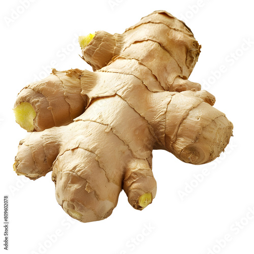 Freshly Harvested Ginger Root Isolated on Plain White Background photo