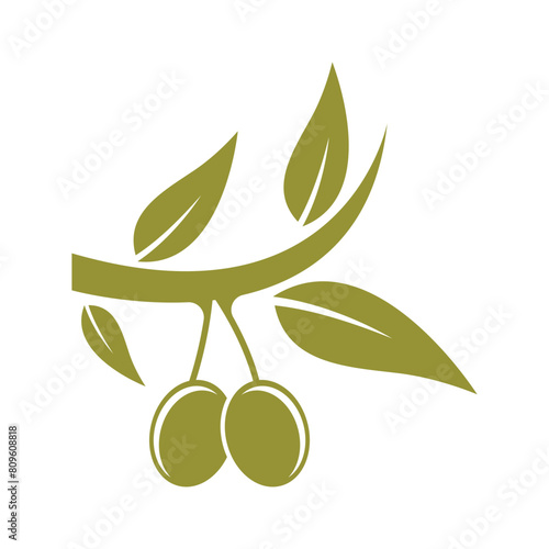 green olive fruit logo design on a stalk