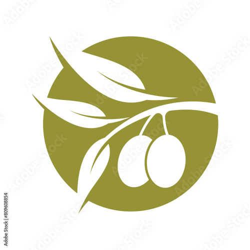 green olive fruit logo design on a stalk