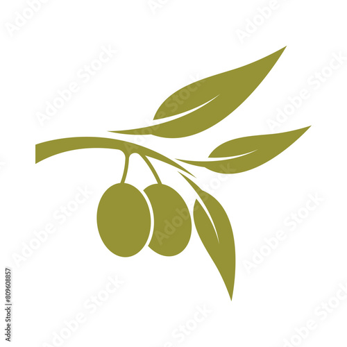 green olive fruit logo design on a stalk