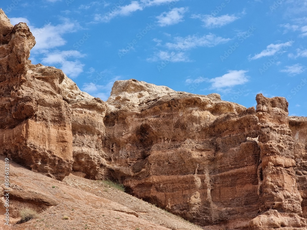 Fototapeta premium beautiful view of the nature