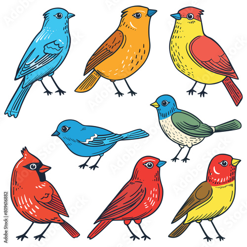 Nine colorful cartoon birds featured standing various poses. Handdrawn style colorful birds against white, ideal childrens book. Birdwatching, ornithology, wildlife theme vibrant plummage