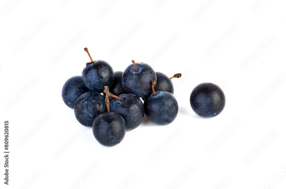 Heap of fresh blackthorn berries isolated on white background Heap of fresh blackthorn berries isolated on white background