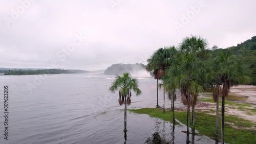 Aerial video of the Canaima´s lagoon, in Bolivar State, Venezuela, flying next to moriche palms photo
