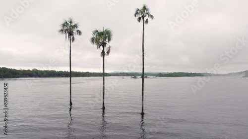 Aerial video of the Canaima´s lagoon, in Bolivar State, Venezuela, flying through moriche palms photo