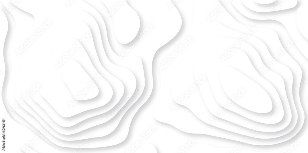 Abstract white paper cut background with lines. Background of the topographic map. White wave paper curved reliefs abstract background. Realistic papercut decoration textured with wavy layers. Abstract white paper cut background with lines. Background of the topographic map. White wave paper curved reliefs abstract background. Realistic papercut decoration textured with wavy layers.