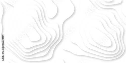Abstract white paper cut background with lines. Background of the topographic map. White wave paper curved reliefs abstract background. Realistic papercut decoration textured with wavy layers.