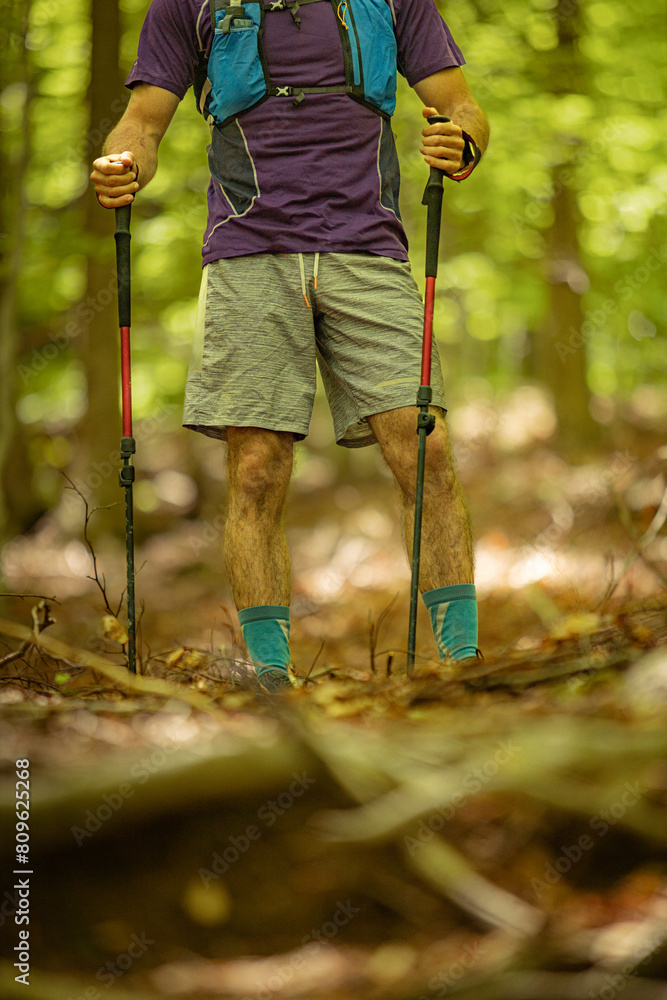 A man is wearing a purple shirt and gray shorts while holding two poles. He is standing in a forest A man is wearing a purple shirt and gray shorts while holding two poles. He is standing in a forest
