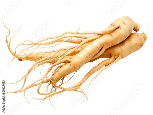 Ginseng Roots Isolated on White Background for Herbal Medicine Supplements and Skincare Products photo