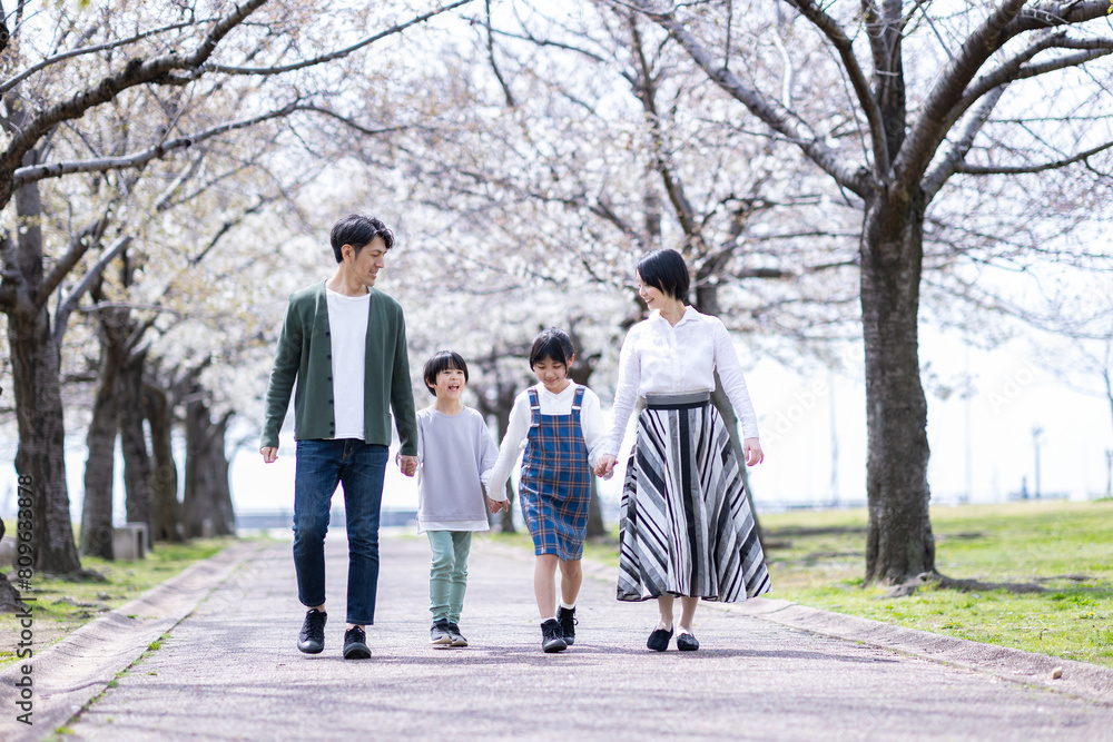 桜並木の下を歩く家族 桜並木の下を歩く家族